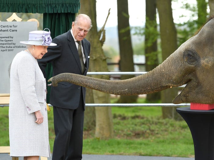 Tình yêu với động vật của Nữ hoàng Anh Elizabeth II