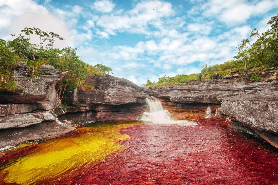 Vì sao Colombia có 'dòng sông ngũ sắc'?