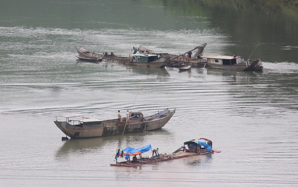 Dân dựng cọc chống tàu cát trên sông Bồ