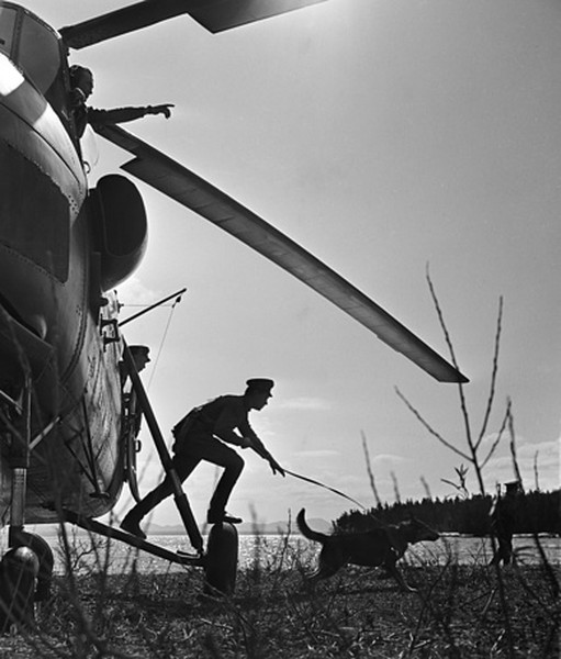 Thành lập từ ngày 28/5/1918 - đúng 100 năm trước đây,  lực lượng biên phòng Nga hiện nay có tiền thân ban đầu là lực lượng biên phòng Liên Xô. Nguồn ảnh: TASS.