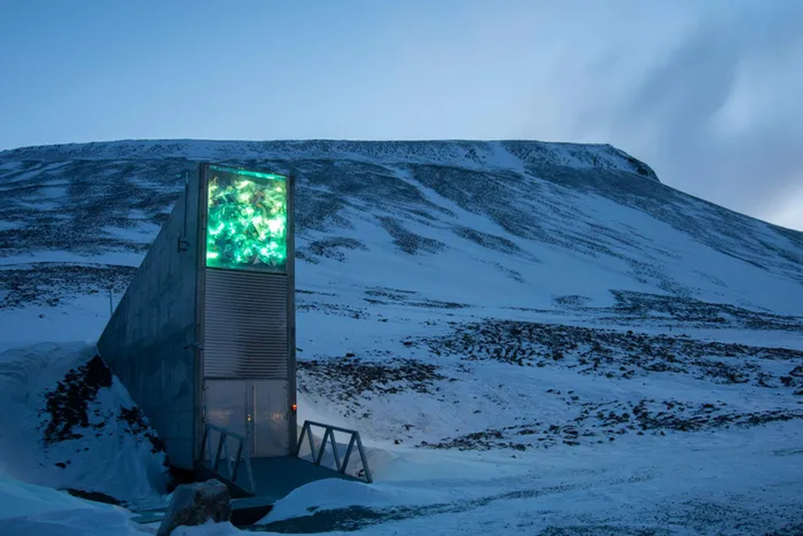 "Kho hạt giống  ngày tận thế" đó chính là hầm hạt giống toàn cầu Svalbard - một cột mốc quan trọng trong việc bảo tồn và bảo vệ đa dạng sinh học của cây trồng trên toàn thế giới.