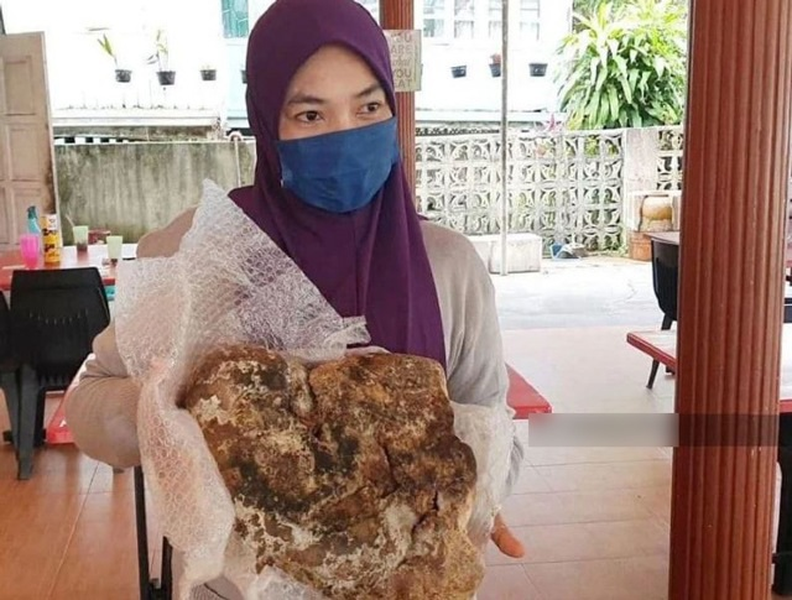 Một người phụ nữ tên Aida Zurina Long (41 tuổi, sống tại Malaysia) đã tìm thấy một khối sáp giống như rác khi câu cá cùng gia đình ở Marang, Malaysia. Ban đầu, cô nghĩ rằng đó chỉ là một mảnh rác bình thường, nhưng sau khi đưa cho cha cô xem, họ nhận ra rằng đó là một " kho báu".