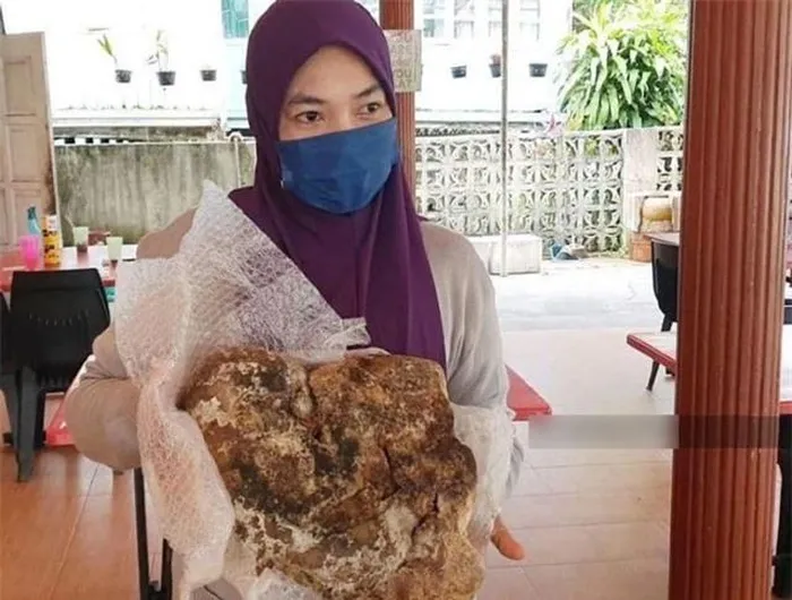 Aida Zurina Long (41 tuổi, sống ở Malaysia) đã tình cờ nhặt được một vật thể trôi nổi khi đang câu cá cùng gia đình.