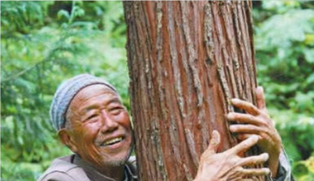 Tuy nhiên, trưởng thôn cảnh báo ông về việc này vì lo sợ  khúc gỗ lạ có thể thuộc loại quý hiếm và được bảo vệ bởi luật pháp.