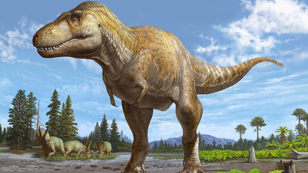 1.Khủng long bạo chúa Tyrannosaurus Rex: Là một trong những loài  động vật tuyệt chủng nổi tiếng nhất hành tinh, T-rex cũng là một trong những loài khủng long lớn nhất từng tồn tại trên Trái Đất. Chiều dài của chúng có thể lên đến 12,8 mét, và trọng lượng lên đến 7 tấn. Chúng tuyệt chủng khoảng 65 triệu năm trước.