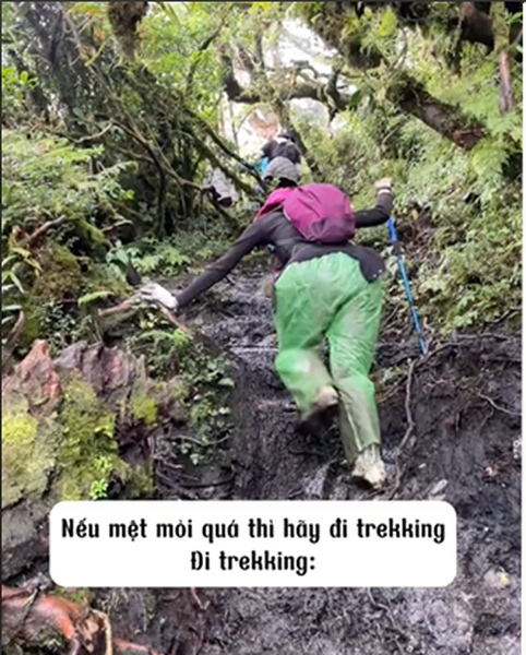 Mới đây, một cô bạn cũng đã chọn cho mình một chuyến đi  trekking, trải nghiệm theo hình thức đang hot gần đây với mong muốn có thể "chữa lành". Nguồn: TikTok @hanae.nguyen