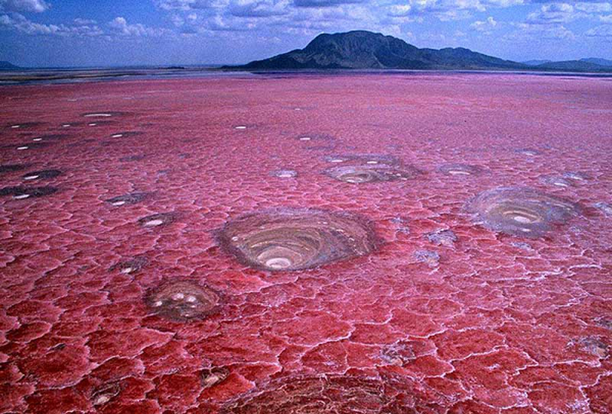  Hồ Natron là hồ nước mặn thuộc địa phận phía Bắc của Tanzania, gần với biên giới Kenya. Hồ Natron là một trong những hồ nước nổi tiếng có vẻ đẹp kỳ ảo với màu đỏ tươi.