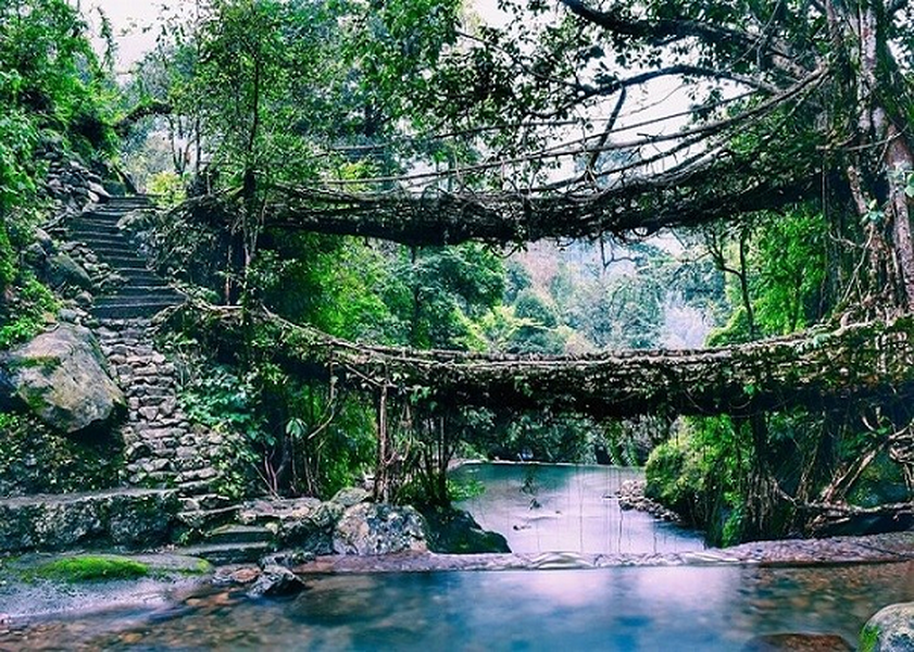  Meghalaya là một bang tại Đông Bắc Ấn Độ, với diện tích 22.429km2, khoảng 70% diện tích bang là rừng che phủ. Với lượng mưa trung bình là 1.200cm mỗi năm, nơi đây được mệnh danh là khu vực ẩm ướt nhất thế giới.