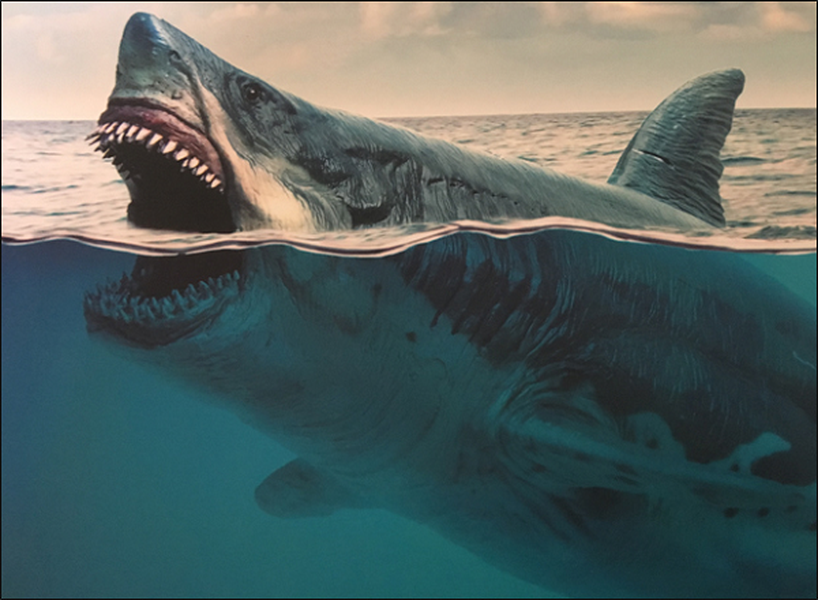 Siêu cá mập Megalodon là một loài cá mập sống cách nay khoảng 15,9 tới 2,6 triệu năm, vào thời kỳ Đại Tân Sinh đã tuyệt chủng. Loài  thủy quái này được xem là một trong những động vật có xương sống lớn mạnh nhất trong lịch sử tự nhiên và có lẽ từng có tác động lớn đến cấu trúc của đời sống đại dương.