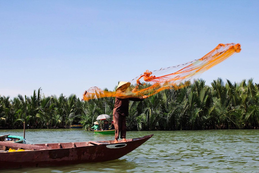  Rừng dừa Bảy Mẫu nằm cách trung tâm phố cổ Hội An tầm 3 km về phía Đông Nam.