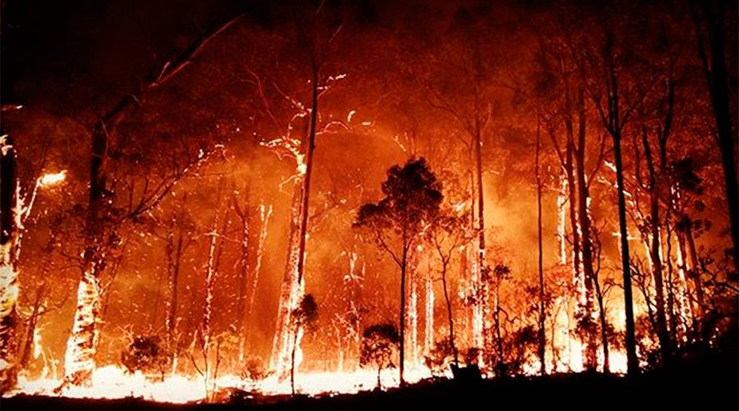 Cánh rừng tại Hellfire Pass, Australia chìm trong khói lửa. Đây là lần đầu tiên Cam Neville gia nhập lực lượng phòng  chống cháy rừng Australia. "Tôi lo lắng thực sự. Trong đời tôi chưa từng chứng kiến điều gì khủng khiếp như vậy", Neville chia sẻ với BBC khi đối mặt với những ngọn lửa cao lớn. Ảnh: Cam Neville.