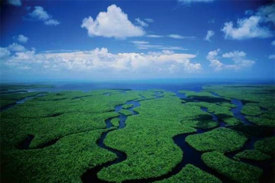 Everglades (Florida), Mỹ. Hãy đến Everglades (Nam Florida) - vùng đất ngập nước nhiệt đới với những hòn đảo Florida hiếm hoi mà việc mở rộng của người Homo Sapiens, ô nhiễm và canh tác đã hủy hoại hơn 50% hệ sinh thái độc đáo và mong manh ở đây.