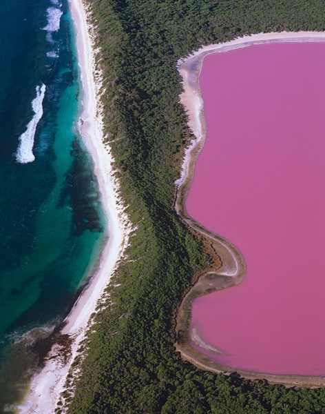 1. Hồ Hillier, Australia: Là hồ nước muối màu hồng trên đảo Middle thuộc quần đảo Recherche, phía Tây Australia. Đây là một hồ nước cực kỳ đặc biệt khi nó mang một màu hồng rất đậm. Từ phía trên cao nhìn xuống người ta cứ ngỡ như đó là một trong trình nhân tạo nào đấy, nhưng không, đây là hồ nước hoàn toàn tự nhiên. Nơi đây đã trở thành điểm du lịch lý thú trên toàn thế giới. Hồ cũng được khai thác các hoạt động du lịch để cho du khách trải nghiệm nơi này một cách chân thật nhất.