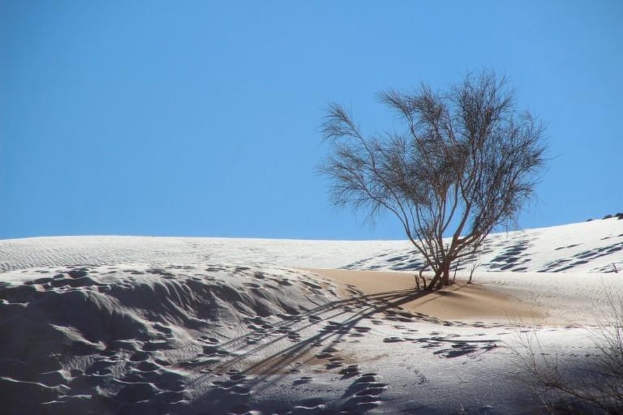 Sa mạc Sahara đã chứng kiến nhiều thay đổi mạnh mẽ trong hàng nghìn năm, nhưng tuyết rơi vẫn cực kỳ hiếm. Ảnh: Karim Bouchetata