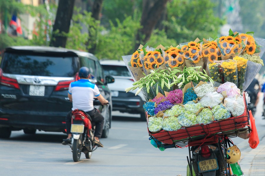 Những ngày tháng 4 này, tại Hà Nội, dọc các con phố như: Thụy Khuê, Phan Đình Phùng, Láng Hạ, Thanh Niên, Giảng Võ... vào thời điểm này, không khó để bắt gặp những chiếc xe đạp chở đầy  hoa loa kèn đầu mùa, tràn đầy sức sống.