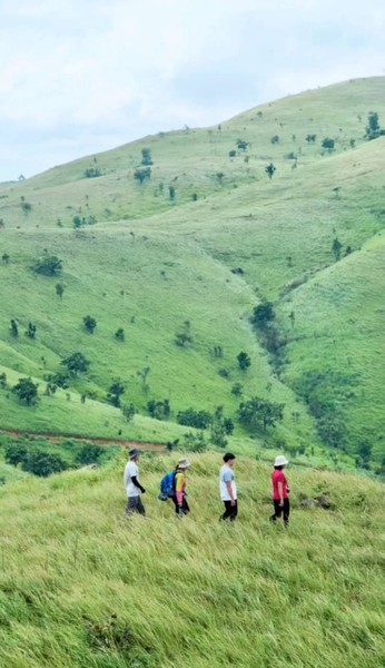 Gần đây, các  thảo nguyên xanh mướt nổi lên như một điểm đến thú vị với cộng đồng du lịch. Nếu như ngoài miền Bắc dân tình rầm rộ với đỉnh Bình Hương hoang sơ hay thảo nguyên Suôi Thầu mộng mơ, thì thảo nguyên Pal sol xanh ngát tại vùng đất đầy nắng lại hớp hồn hội mê xê dịch miền Nam ngay từ cái nhìn đầu tiên.