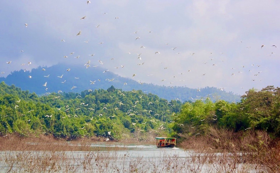  Vườn quốc gia Vũ Quang có diện tích hơn 57.000 ha, trải dài trên địa bàn của cả 3 huyện là Vũ Quang, Hương Khê và Hương Sơn. Nơi đây là điểm du lịch sinh thái lý tưởng, được xem là một kho báu của Hà Tĩnh.