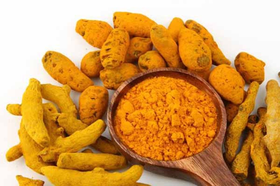 Nghệ. Người ta phát hiện rằng chính  Curcumin có trong nghệ vàng có tác dụng hủy diệt tế bào ung thư theo cơ chế từng bước, ức chế hoạt hóa tín hiệu NF-Kappa B. Đây là yếu tố đóng vai trò quan trọng trong giai đoạn khởi phát và tiến triển của ung thư vì vậy nó có tác dụng kìm hãm tế bào ung thư ở cả ba giai đoạn khởi phát, tiến triển và giai đoạn cuối.