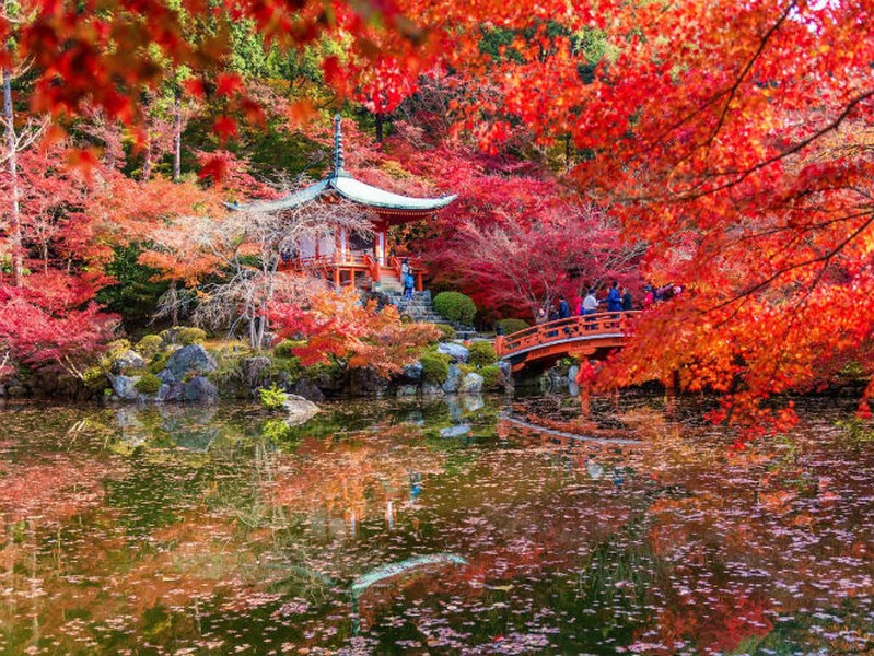 Với bề dày lịch sử cùng nhiều ngôi đền, công viên,... tuyệt đẹp, thủ đô Kyoto của Nhật Bản xứng đáng là một trong những thiên đường du lịch không nên bỏ lỡ năm 2016.