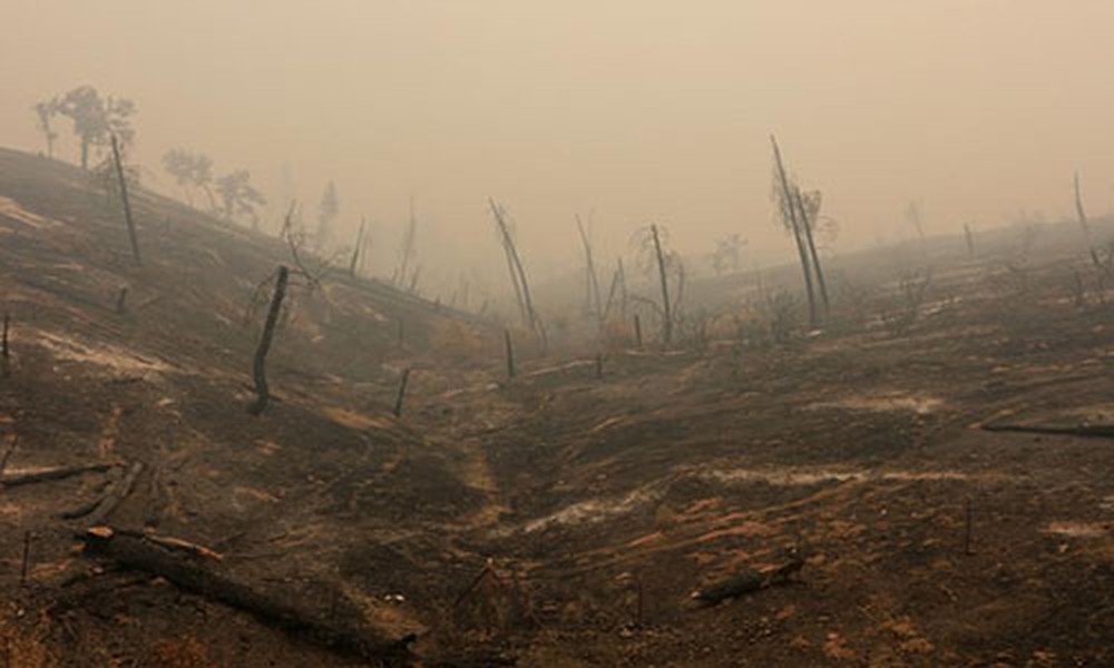 Theo CBS News, khoảng 17 đám cháy rừng lớn xảy ra trong tuần qua đã tàn phá nghiêm trọng bang California, trong đó thành phố Redding là khu vực chịu ảnh hưởng nặng nề nhất. (Nguồn ảnh: Reuters)