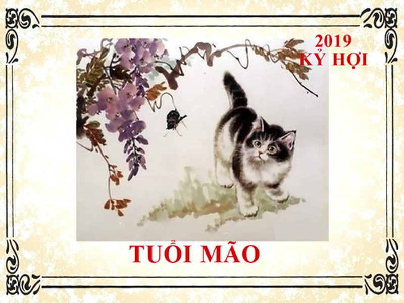 Tuổi Mão: Nếu như trong năm Kỷ Hợi 2019, người tuổi Mão gặp phải nhiều sóng gió, khổ sợ để tìm kiếm thời cơ bứt phá của thản thân ở thời điểm giữa năm.   