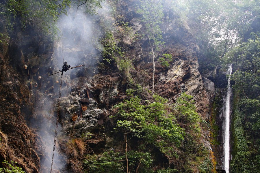  Người dân Nepal thu thập mật ong rừng theo cách truyền thống và đầy mạo hiểm, chủ yếu từ những vách đá dựng đứng ở độ cao hơn 2000 mét so với mực nước biển. (Nguồn ảnh: Izvestia)