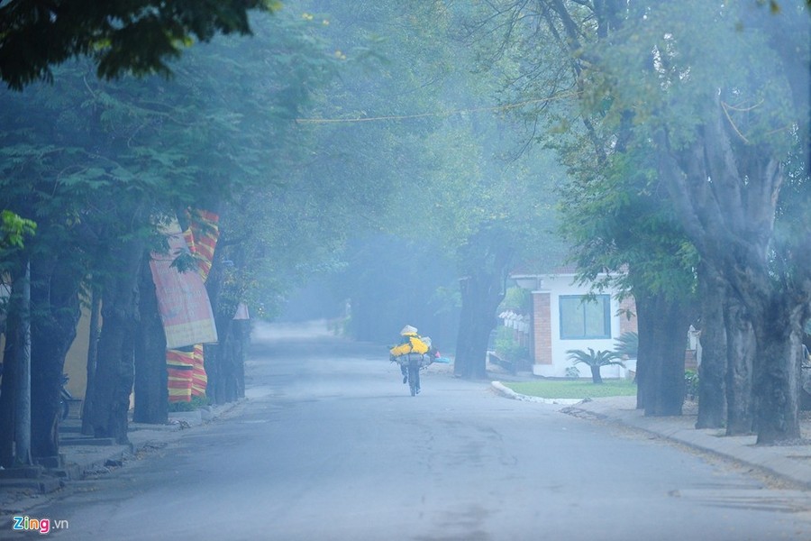 Sáng sớm  mùa đông Hà Nội, những làn sương mờ ẩn hiện làm nên vẻ đẹp đặc biệt. Đâu đó những người đạp xe chở gánh hàng hoa chầm chậm di chuyển trong không khí vắng vẻ.