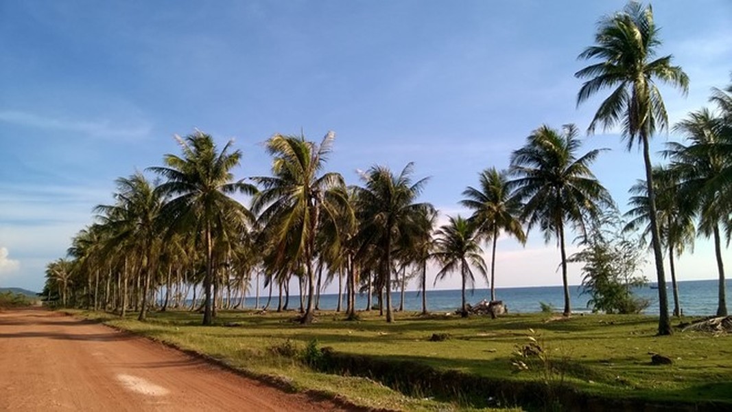 Hàng dừa chạy dài ngăn cách với một bên là con đường đất đỏ, một bên là bãi biển trong xanh ở đảo Phú Quốc.