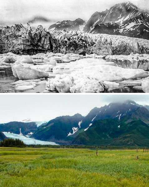 Sông băng Pedersen, Alaska, 100 năm trước và bây giờ sau những tác động của  biến đổi khí hậu. (Nguồn ảnh: BrightSide)