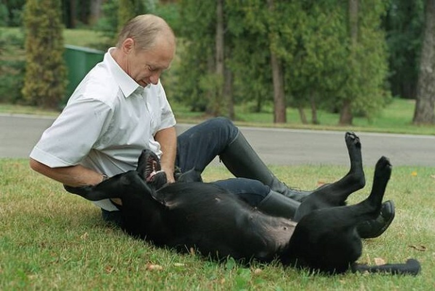 Konni là một "nàng chó" màu đen thuộc giống Labrador Retriever, là "món quà" mà Bộ trưởng Quốc phòng, Đại tướng Sergey Kuzhugetovich Shoygu tặng cho ông Putin vào năm 2000.