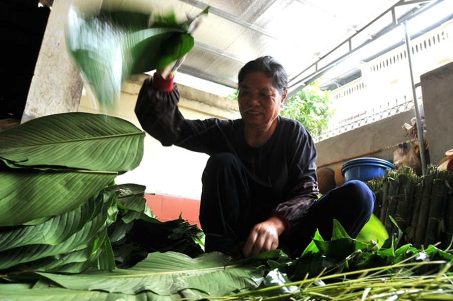  Cách bảo quản bánh chưng ngon và giữ được lâu phụ thuộc từ khâu chọn nguyên liệu đến chế biến. Với lá dong, phải chọn lá không quá non cũng không quá già. Nên rửa lá thật kỹ, để ráo nước rồi lau khô. Có thể chần hoặc luộc lá qua với nước nóng nhằm loại bỏ vi khuẩn. Ảnh: Báo điện tử ĐCSVN.