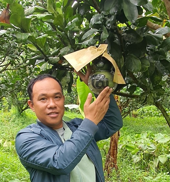 Anh Huỳnh Thanh Tâm ở xã An Khánh (Châu Thành, Bến Tre) chuyên tạo hình các loại trái cây như bưởi, dừa phục vụ thị trường Tết. Ảnh: T. Tâm.