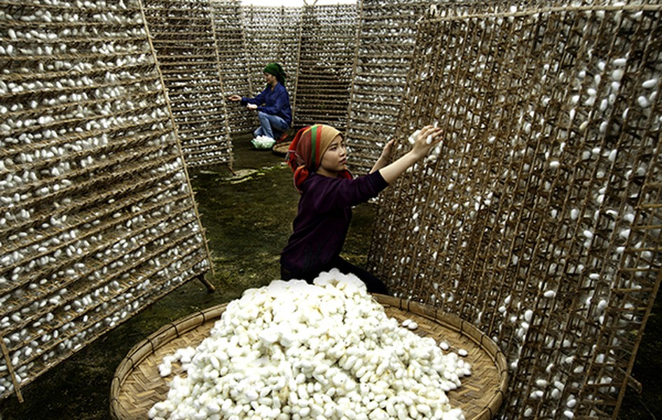 Xung quanh chiếc kén có nhiều sợi tơ với công dụng tẩy tế bào chết cho da. Hơn nữa trong kén tằm chiếm tới 40 % là thành phần protein, khi bạn massage da mặt, dưỡng chất protein sẽ thẩm thấu và dưỡng sâu vào da. Không chỉ có tác dụng làm sạch mụn mà còn đem lại vẻ láng mượt, mịn màng cho làn da của bạn. Ảnh: sakurahcm.com.