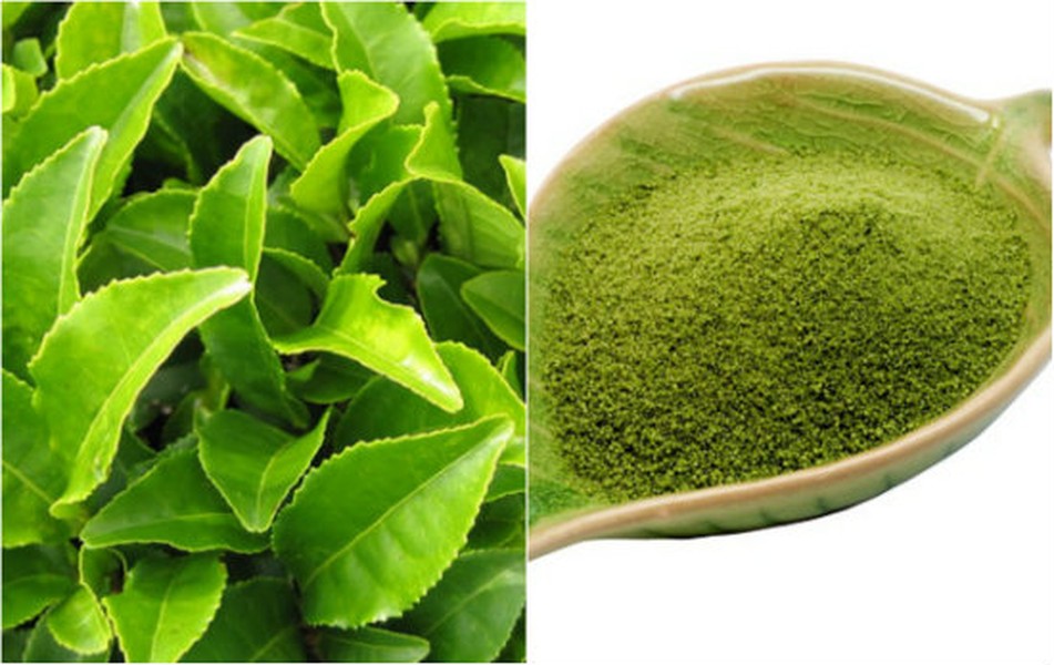 1. Bắp rang bơ trà xanh. Nguyên liệu: Hạt bắp ngô, đường xay, bơ, bột trà xanh matcha. Chuẩn bị một chiếc nồi lòng sâu có nắp đậy. Cho bơ vào đun chảy. Khi bơ tan hết thì cho hạt bắp vào đảo đều đến khi có một vài hạt nổ thì đậy nắp. Ảnh: choquevn.com.