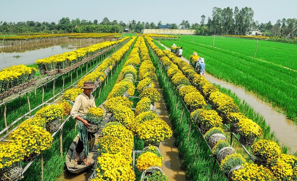 Sa Đéc hiện là thành phố trực thuộc tỉnh Đồng Tháp. Ngoài Sa Đéc, tỉnh này còn có TP Cao Lãnh (tỉnh lỵ), thị xã Hồng Ngự cùng 9 huyện: Cao Lãnh (cùng tên thành phố), Hồng Ngự (cùng tên thị xã), Tam Nông, Tân Hồng, Tháp Mười, Thanh Bình, Châu Thành, Lai Vung và Lấp Vò.