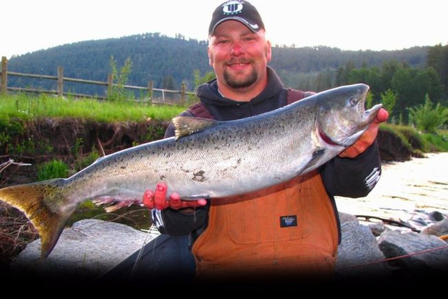 Trên thế giới có nhiều  luật lệ “không thể tin nổi”. Theo Đạo luật Salmon ban hành năm 1986 tại Anh, bạn sẽ bị tống giam ngay lập tức nếu bị phát hiện có những hành vi ngược đãi cá hồi khi chúng còn sống.