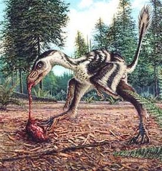 1. Bambiraptor. Bambiraptor thuộc chi  khủng long Dromaeosauridae nhỏ, từng sống cách đây 72-75 triệu năm vào cuối kỳ Phấn Trắng ở Bắc Mỹ. Cái tên của chúng lấy cảm hứng từ nhân vật chú nai Bambi cũng vì có kích thước nhỏ tương tự. Giả thiết khác là tên chúng lấy cảm hứng từ từ "bambino", có nghĩa là "đứa trẻ" trong tiếng Ý.