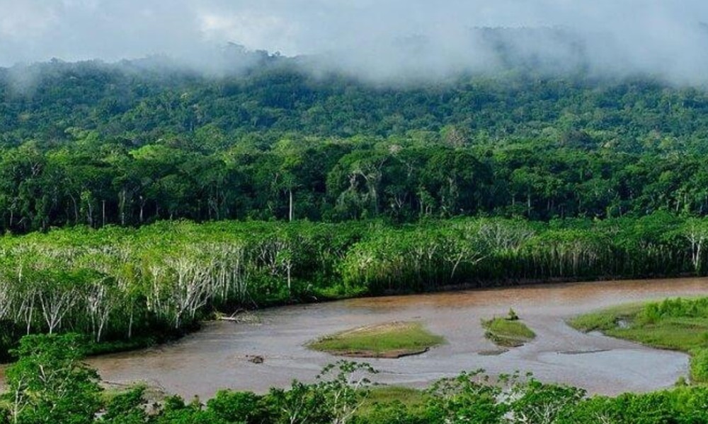 1. Vườn quốc gia Madidi, Bolivia: vẻ đẹp hoang sơ quyến rũ của vườn quốc gia này lại ẩn chứa nhiều nguy hiểm chết người. Du khách tới đây không nên chạm tay vào bất cứ loài thực vật nào. (Nguồn: Báo Giao thông)