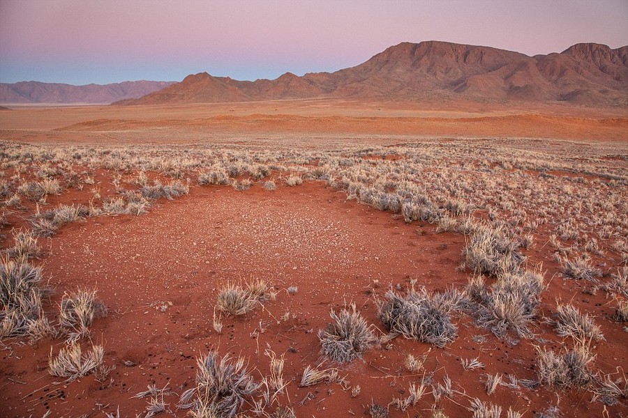 Hiện tượng  vòng tròn thần tiên ở sa mạc Namib, Namibia vốn là một trong những bí ẩn khiến các nhà khoa học đau đầu để tìm kiếm lời giải nhiều nhất. Thậm chí có những giả thuyết cho rằng những vòng tròn kỳ lạ này là tác phẩm của các vị thần hoặc người ngoài hành tinh. (Nguồn Dailymail)