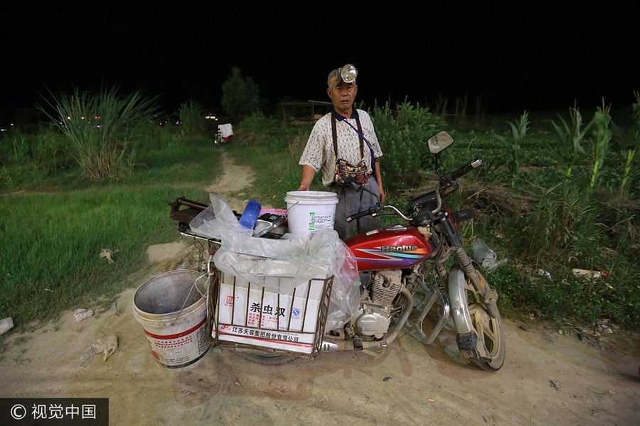 Thời gian gần đây, cứ vào buổi tối, người dân ở vùng ngoại ô thành phố Tương Dương, tỉnh Hồ Bắc, Trung Quốc lại tụ tập, cùng nhau  bắt ve sầu ở những nơi công cộng để vừa ăn vừa bán. (Nguồn Sina)