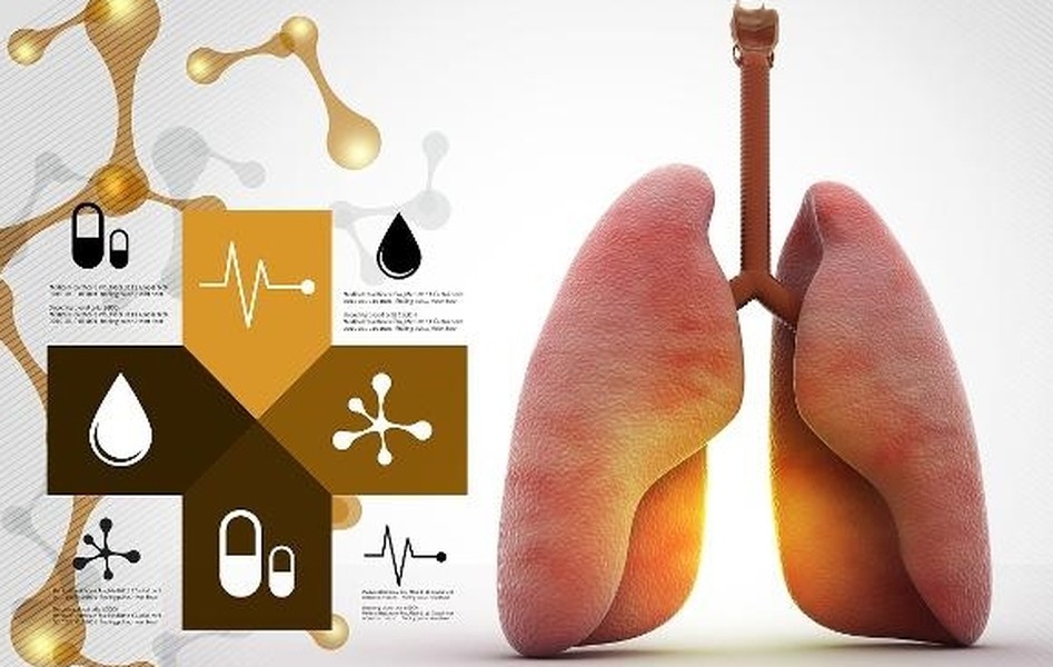  Chức năng phổi là một chỉ số quan trọng để đánh giá một người có khỏe mạnh hay không, vì vậy muốn sống khỏe mạnh lâu dài thì phải nâng cao ý thức giữ gìn, bảo vệ và tăng cường sức mạnh cho phổi. Mùa thu cũng là thời kỳ quan trọng của việc bồi bổ phổi, bạn phải nắm bắt khoảng thời gian này để dưỡng phổi, cơ thể sẽ rất biết ơn bạn đấy.