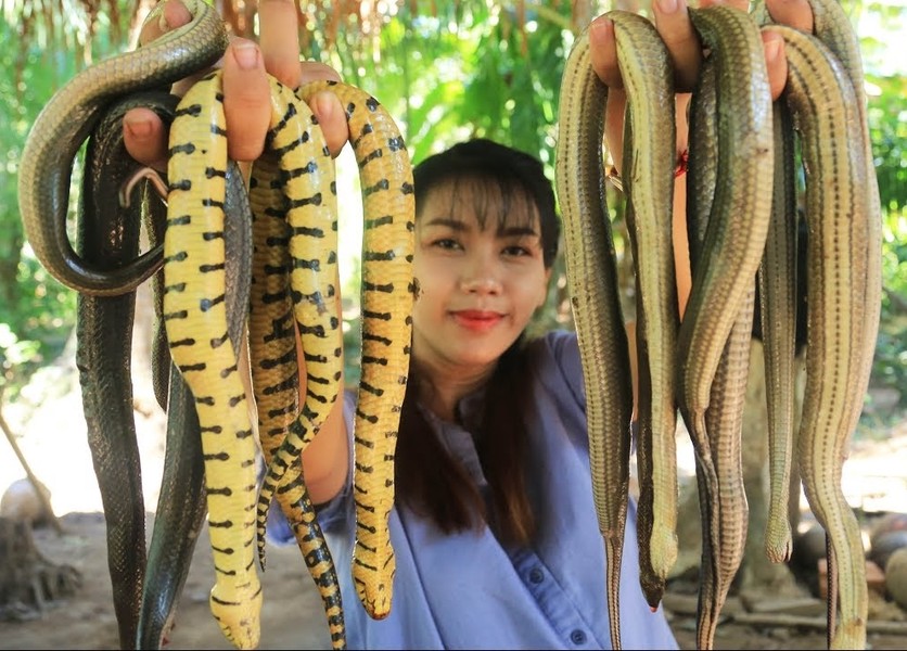 Món  súp rắn, canh rắn (Snake Soup) là một món ăn truyền thống có nguồn gốc từ ẩm thực Trung Quốc, nhưng cũng được tìm thấy nhiều trong các nhà hàng ở Malaysia. (Ảnh: TCT, minh họa)