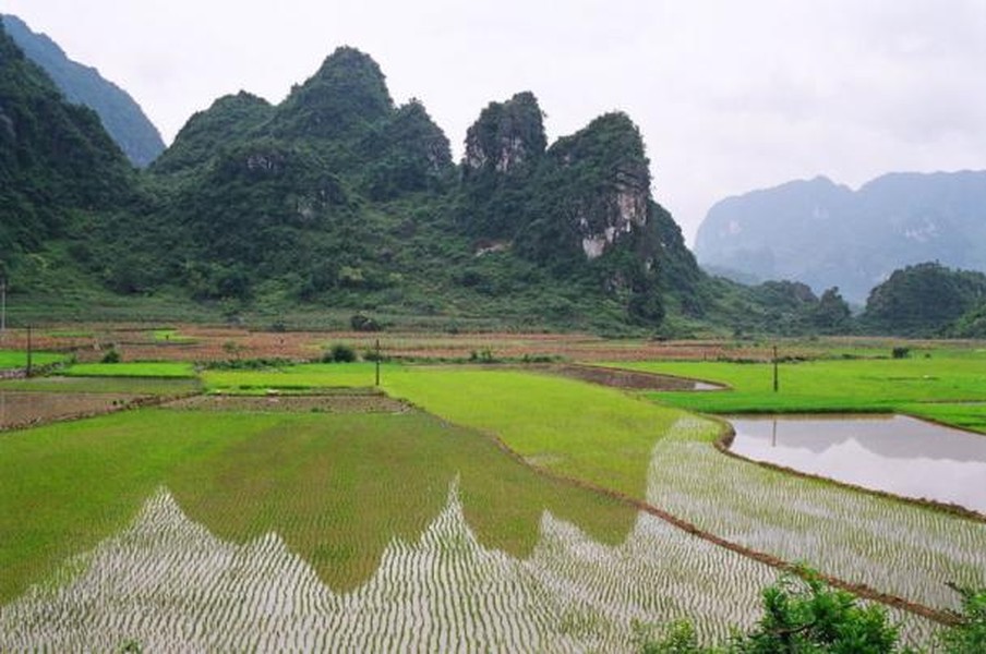 Đi bộ trekking là hình thức du lịch mà du khách di chuyển bằng chính đôi chân của mình. Điểm đến của trekking thường là những khu vực rừng núi - nơi các phương tiện giao thông khó có thể tiếp cận được. Trong số những điểm đi bộ khám phá ấn tượng nhất ở Đông Nam Á có tỉnh Cao Bằng.