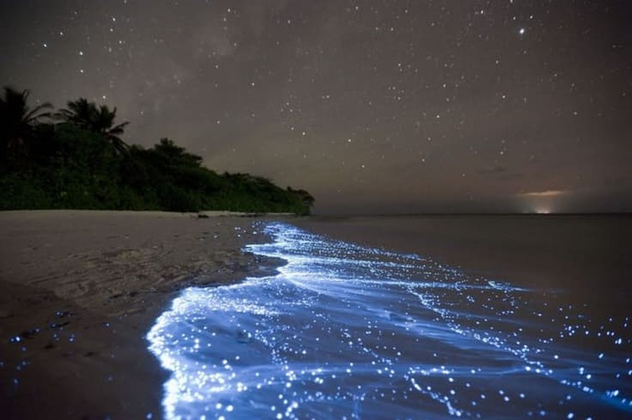 Bãi biển phát ánh sáng xanh kỳ ảo ở Maldives khiến nhiều người không khỏi ngỡ ngàng bởi vẻ đẹp tựa chốn thiên đường. Hàng triệu sinh vật phù du phát ra ánh sáng huyền ảo khi bị dạt vào bờ trông giống như một bầu trời sao lấp lánh trên bãi biển.