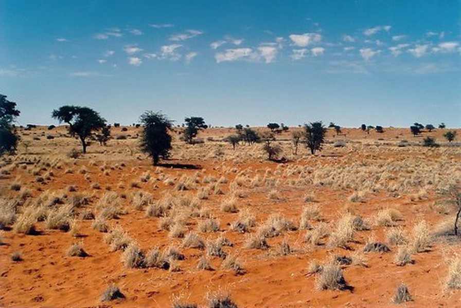  Sa mạc Kalahari trải dài trên lãnh thổ 3 quốc gia tại miền Nam Châu Phi bao gồm: Botswana, Namibia và Nam Phi.