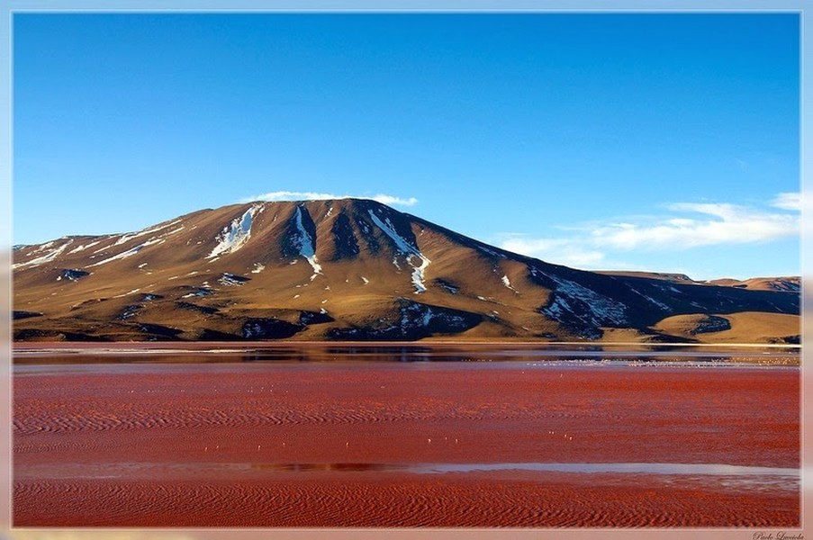 Nằm trong vườn dự trữ sinh quyển quốc gia Eduardo Avaroa Andean, Laguna Colorada hay còn gọi Red Lagoon là  hồ nước đỏ rực như máu hấp dẫn khách du lịch của Bolivia.