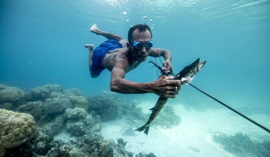 Bajau được biết đến là  bộ tộc đặc biệt nhất thế giới khi sống chủ yếu trên biển. Cuộc sống của họ gắn liền với nước thay vì trên đất liền như các bộ lạc khác.