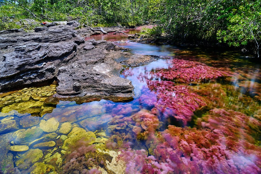 Nằm trong công viên quốc gia Serrania de la Macarena ở Colombia, sông Caño Cristales là một địa điểm nổi tiếng thế giới được hàng triệu người biết đến. Nơi đây còn được biết đến với một tên gọi mỹ miều là  dòng sông ngũ sắc hay dòng sông cầu vồng.