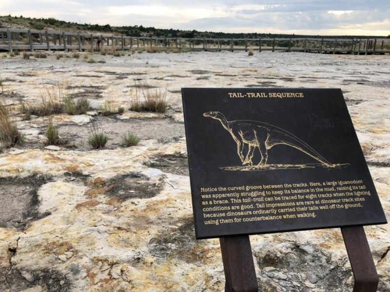 Công viên bang Clayton Lake nằm ở New Mexico, Mỹ là một địa điểm nổi tiếng thế giới. Một trong những điều khiến công viên này hấp dẫn du khách là các  dấu chân khủng long.