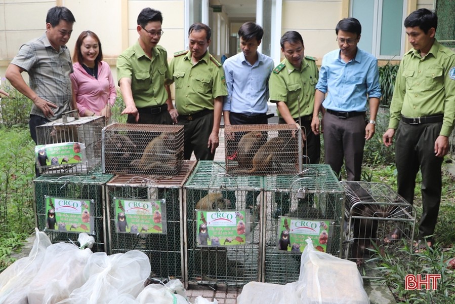 Vườn Quốc gia Vũ Quang ở tỉnh Hà Tĩnh đã tiếp nhận 30 cá thể  động vật hoang dã từ Trung tâm Cứu hộ, Bảo tồn và Phát triển sinh vật Hoàng Liên thuộc Vườn Quốc gia Hoàng Liên, tỉnh Lào Cai. Sau đó, Vườn Quốc gia Vũ Quang tiến hành tái thả số động vật quý hiếm trên về về môi trường tự nhiên.